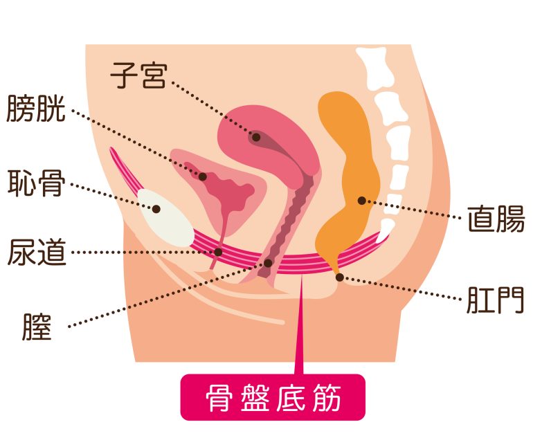 子宮脱｜まほろばレディースクリニック